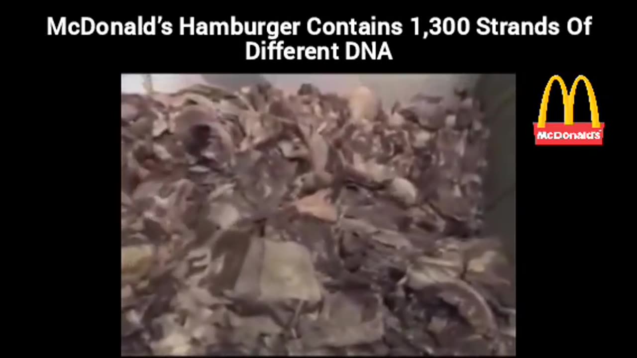 McDonald’s Hamburger Contains 1,300 Strands Of Different DNA