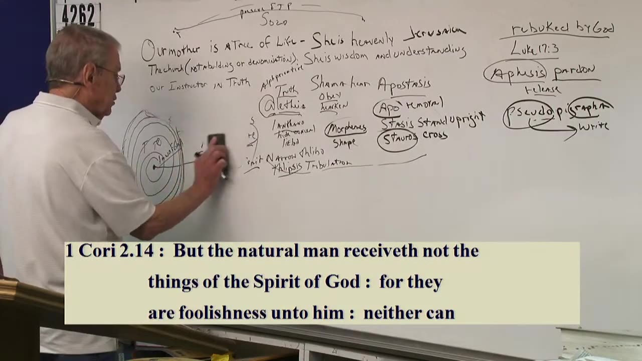 4262 Our Mother Is A Tree Of Life- She Is Heavenly Jerusalem (The Church), Wisdom And Understanding