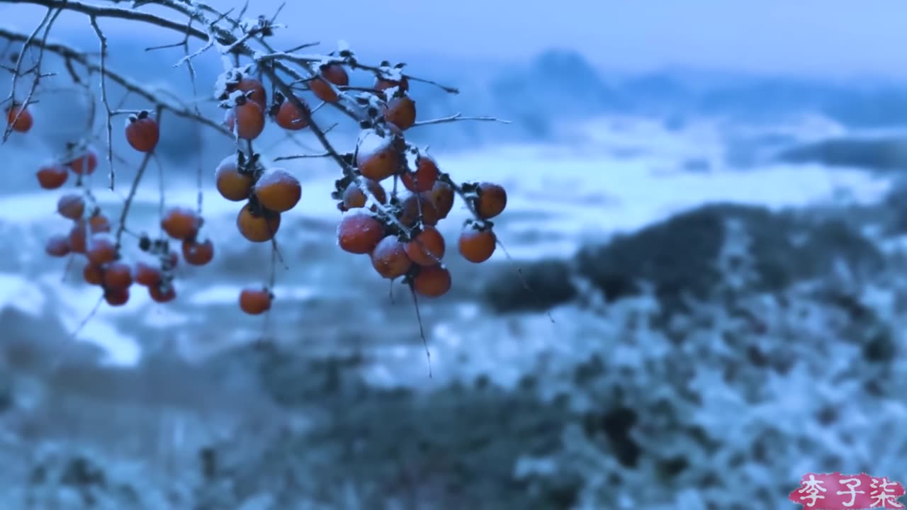 It's a red mountain & in the fall, it’s natural to make some sweet persimmons