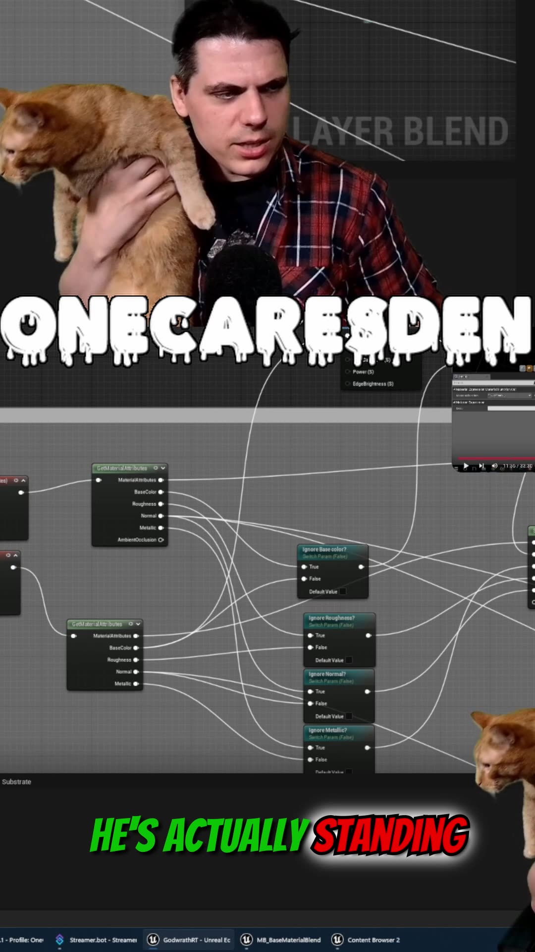 Fat Cat Declares War on My Lap!