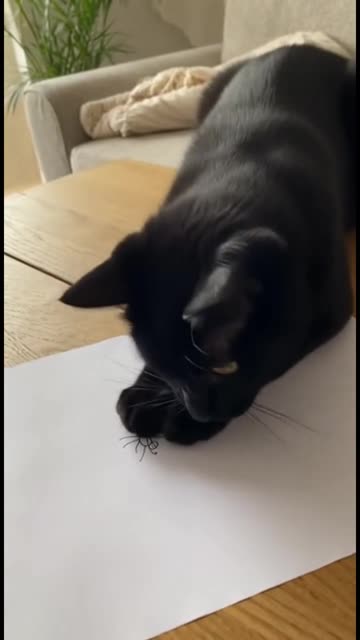 You draw them and I catch them 🤣