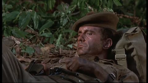 Too Late the Hero (1970): War, Survival, and Redemption
