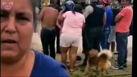 BRAKING NEWS A GHOST ATTACKS ON A DOG ON LIVE TV.