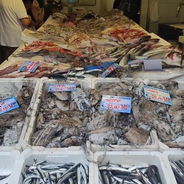 Fishmonger in Genova city