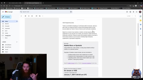 Twitch SUSPENDED me and provided 0 EVIDENCE | CommonSensePRose&Cons