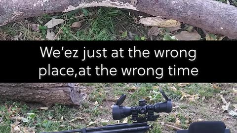 wrong place at the wrong time, #airgun #hunting