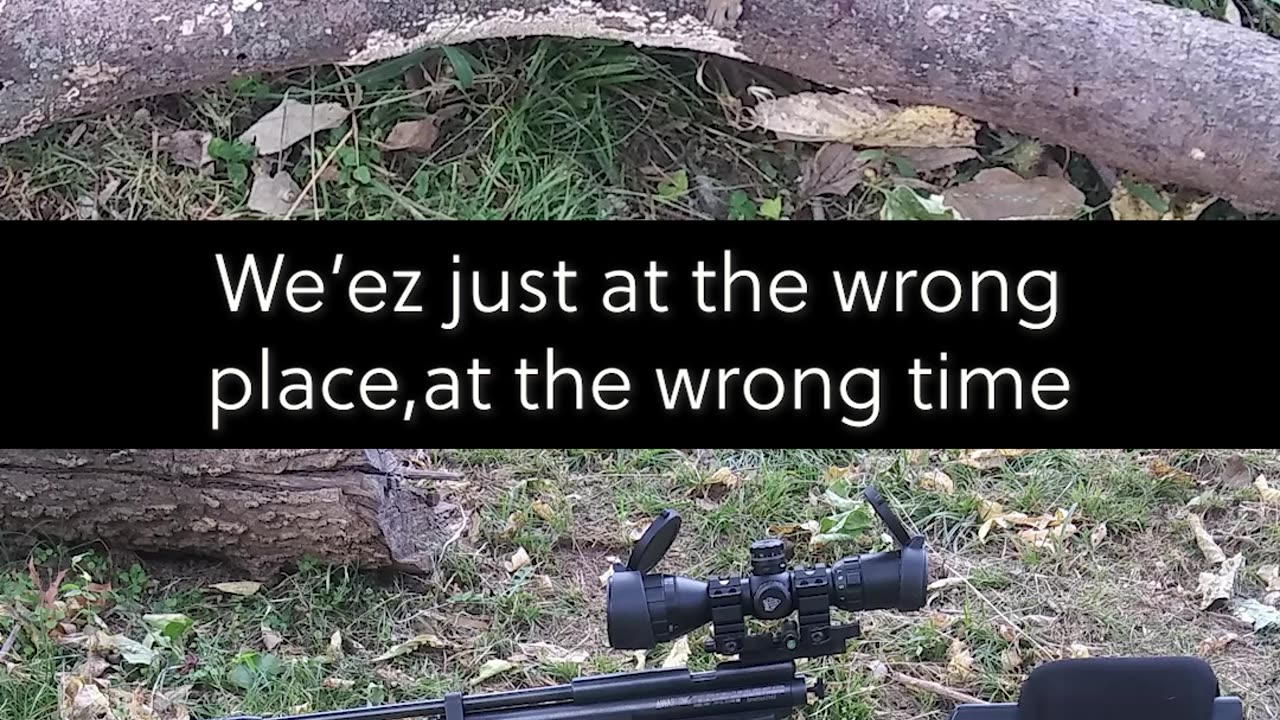 wrong place at the wrong time, #airgun #hunting