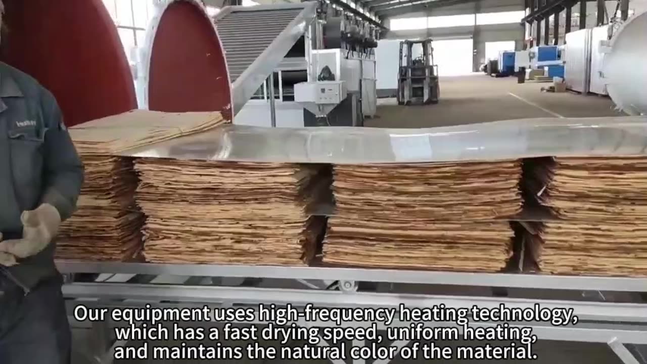 high-frequency vacuum dryer