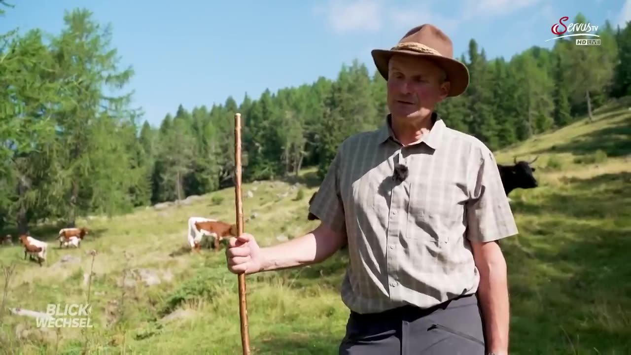 Gefahr auf der Alm: Angegriffene halten sich nicht an einfache Regeln | BLICKWECHSEL