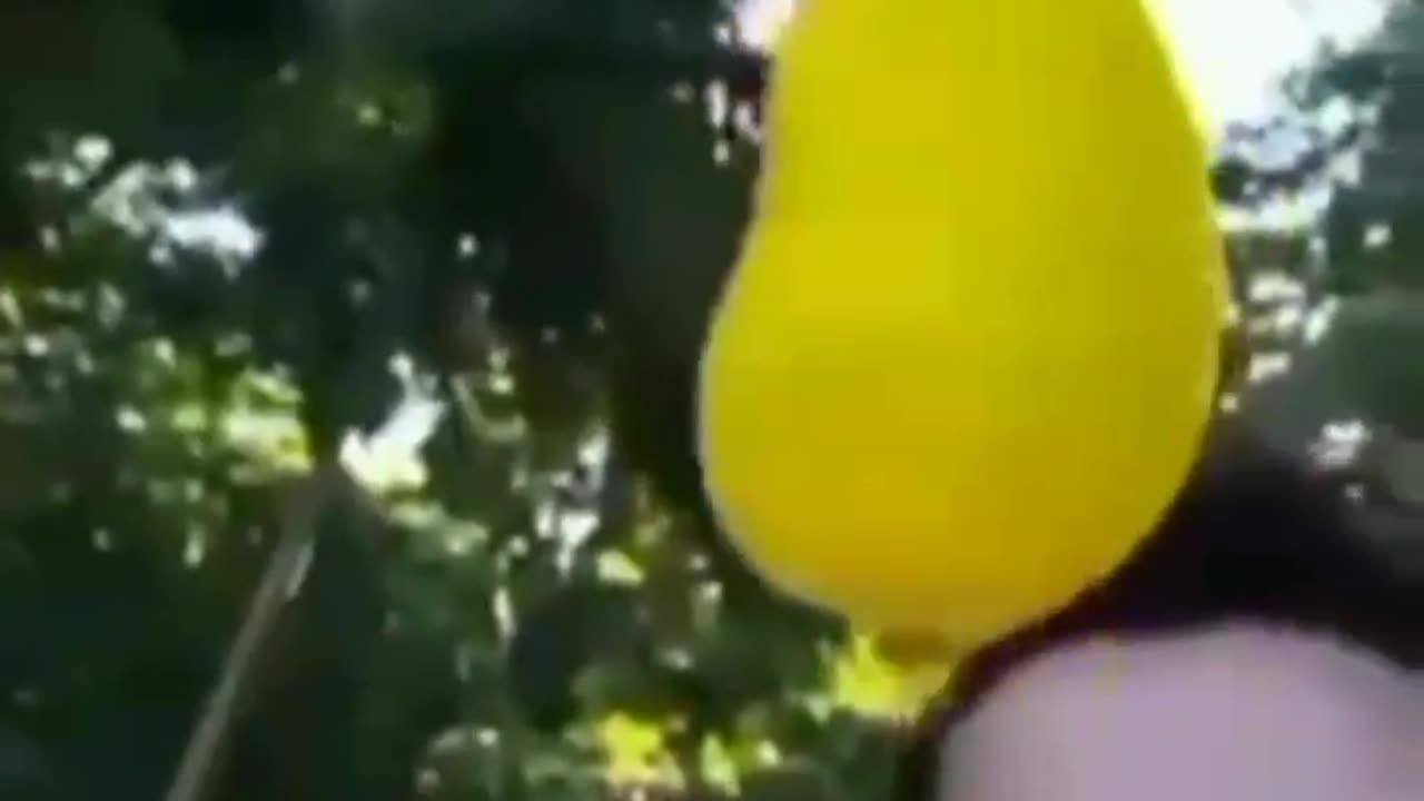 Fake nasa?