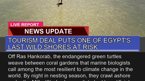 Tourism Deal Puts One of Egypts Last Wild Shores