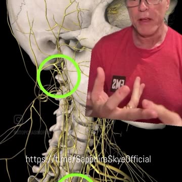 LYMPHATICS & VAGUS NERVE: RELEASE & STIMULATE 🙏