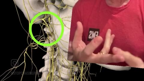 LYMPHATICS & VAGUS NERVE: RELEASE & STIMULATE 🙏