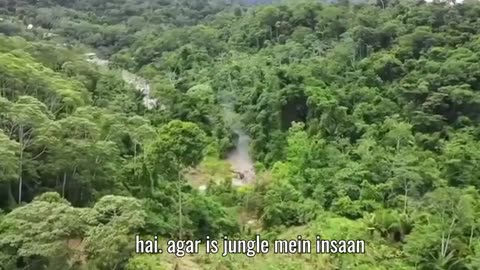 Dangerous-Animals-of-Amazon-Jungle-EP-85