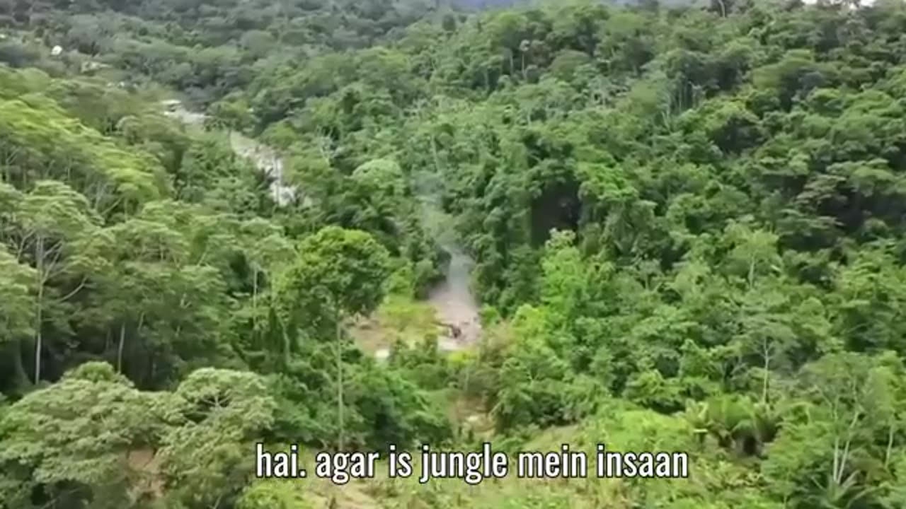 Dangerous-Animals-of-Amazon-Jungle-EP-85