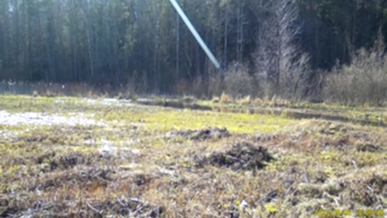 😨🤔 What Is This Terrifying Entity Captured on Camera? | TheHauntingHour