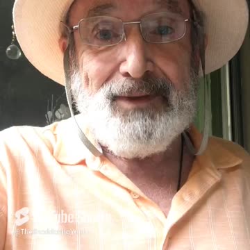 God's Will for me is perfect happiness.