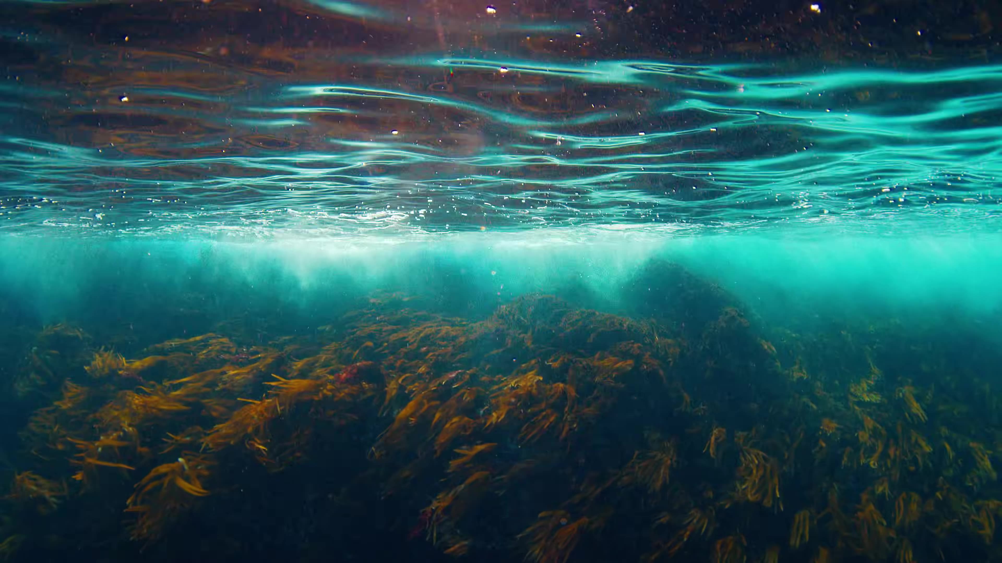 The Most Implausible Tunneling Method You Ve Never Heard Of