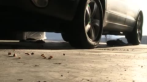 Car Tire Crush