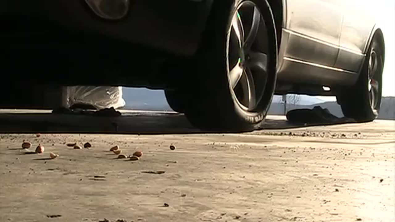 Car Tire Crush