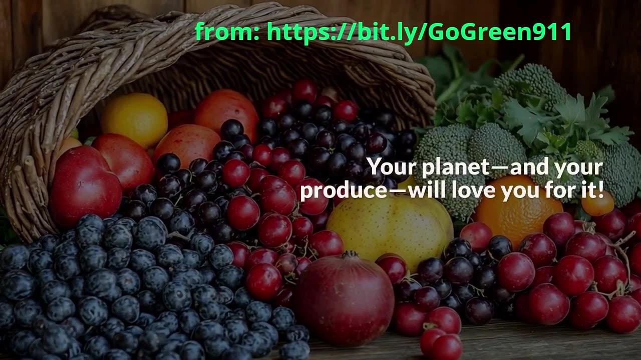 From Bulk to Bag: How a 6-Compartment Tote Can Revolutionize Grocery Trips