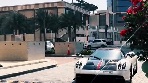 🚀✨ Dubai's Supercars are NEXT-LEVEL Elegance! | LuxurySportsCars
