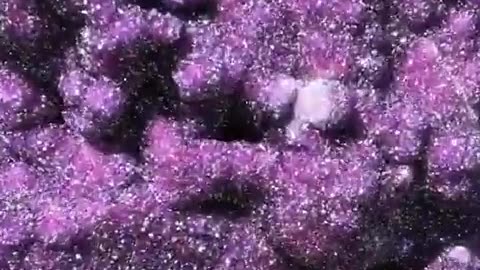 Look at the Size of these enormous amethysts formed in the Earth