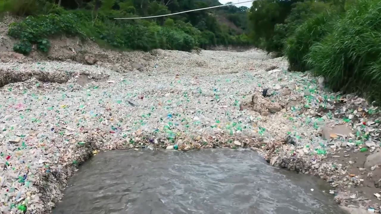 Penetration Of Plastic Particles Into The Brain