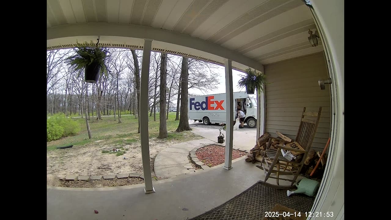Package Driver Loves On Loose Pups