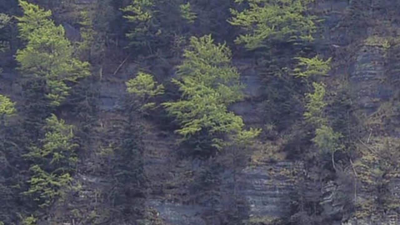 31. Erosion - Weathering and Land Removal - TTC Video - How the Earth Works