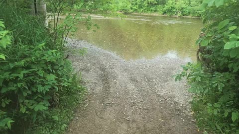 More quadding