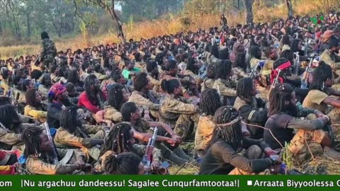 Gabaasa Tarkaanfii ONM-ABO Onkoloolessa 24-2025 itti dhiyaadhaa!