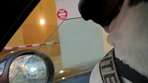 😱💨 Why Are You Stopping? *Screams* | FunFM