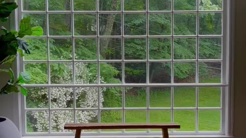 A Year in Minutes: Homeowner Captures 2024's Changing Seasons in Mesmerizing Timelapse