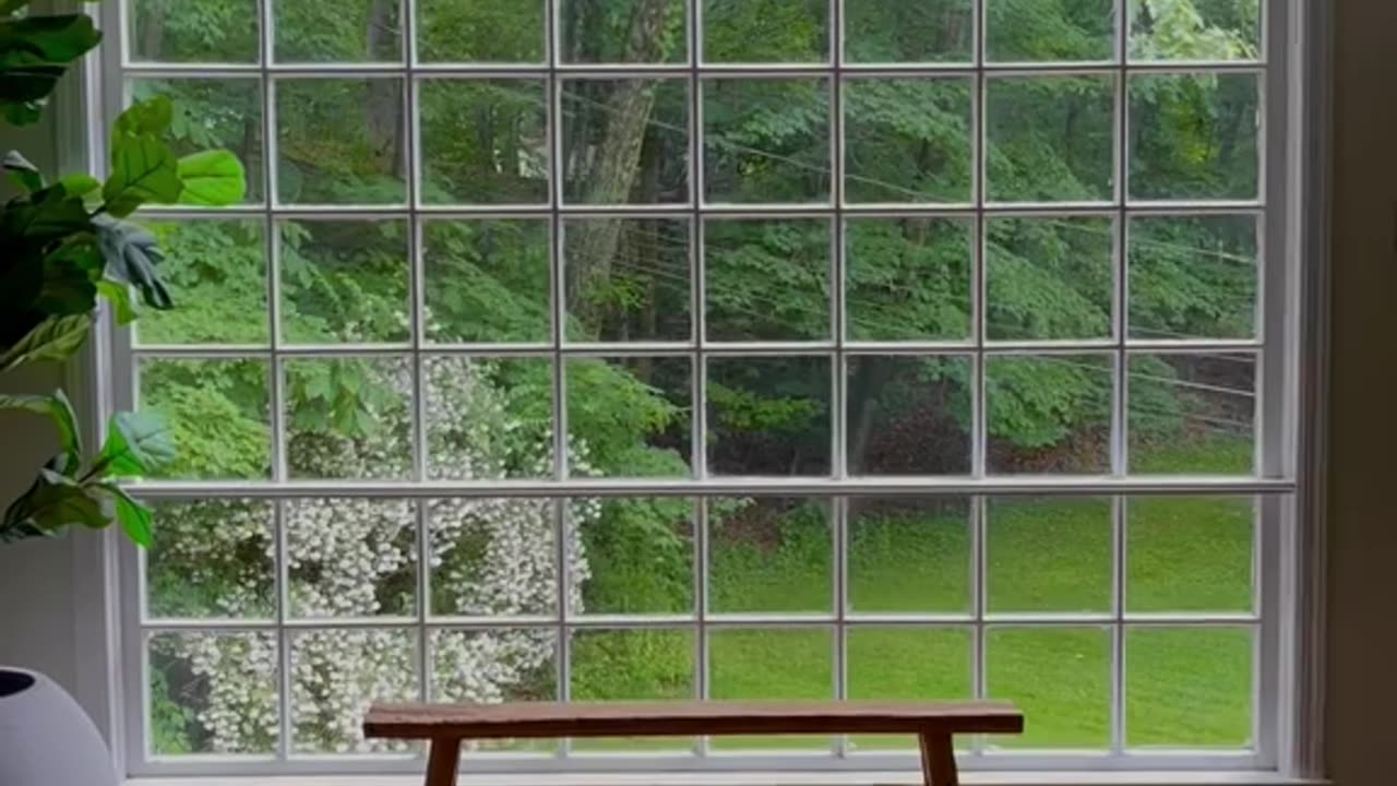 A Year in Minutes: Homeowner Captures 2024's Changing Seasons in Mesmerizing Timelapse