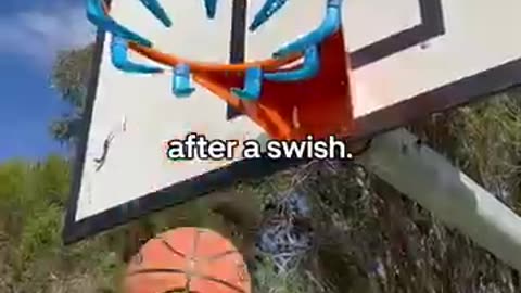 Amazing: What Happened to This Viral Basketball Hoop