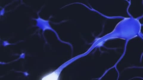 How Alcohol Damages The Human Body