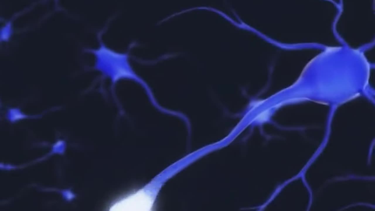 How Alcohol Damages The Human Body