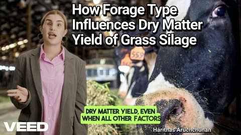 How Forage Type Influences Dry Matter Yield of Grass Silage: What Every Dairy Farmer Should Know