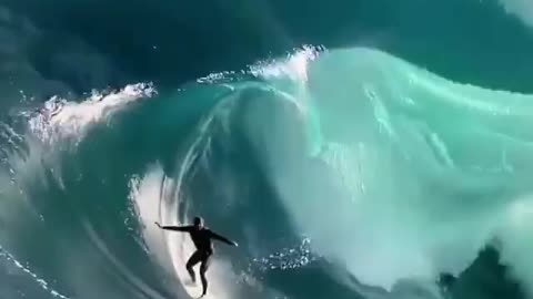 Sea clip