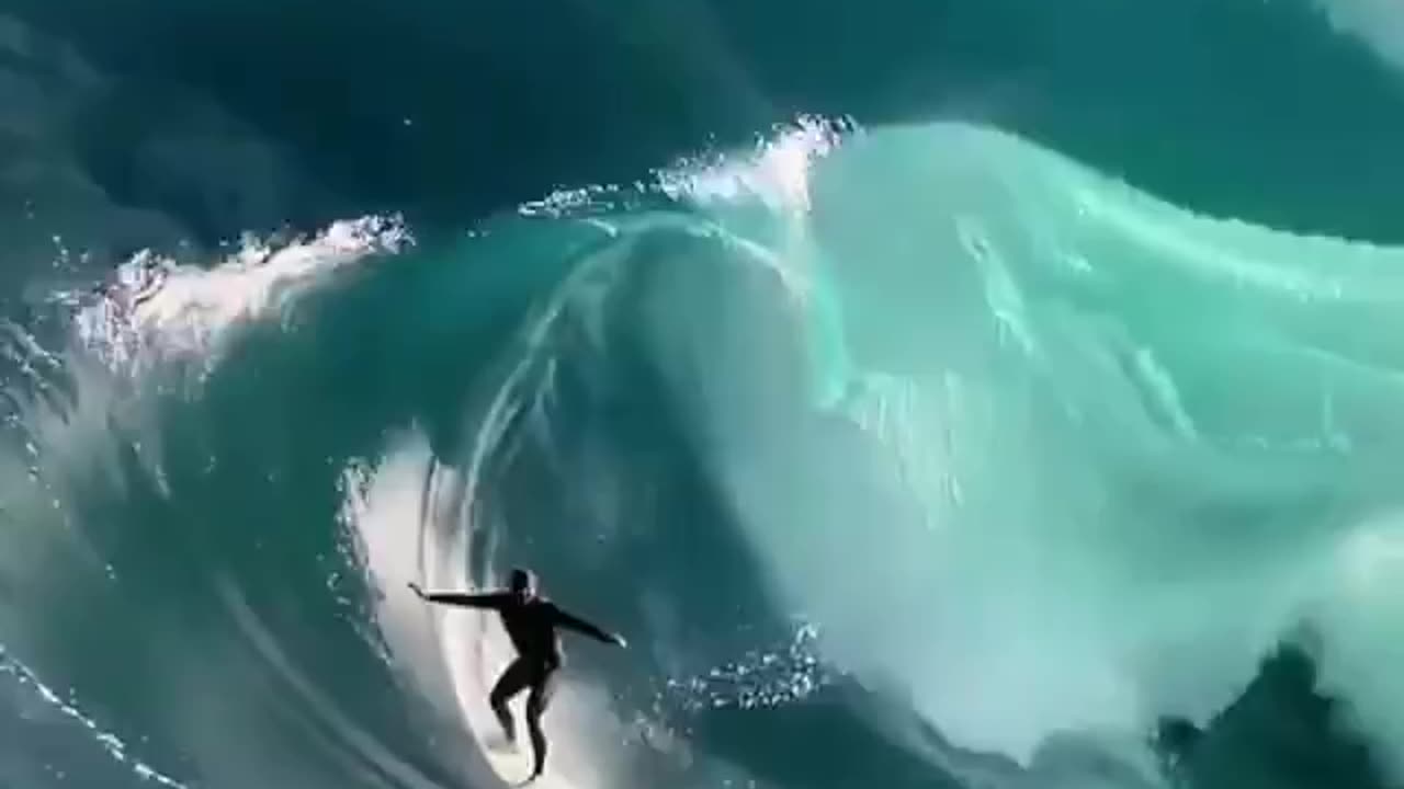 Sea clip