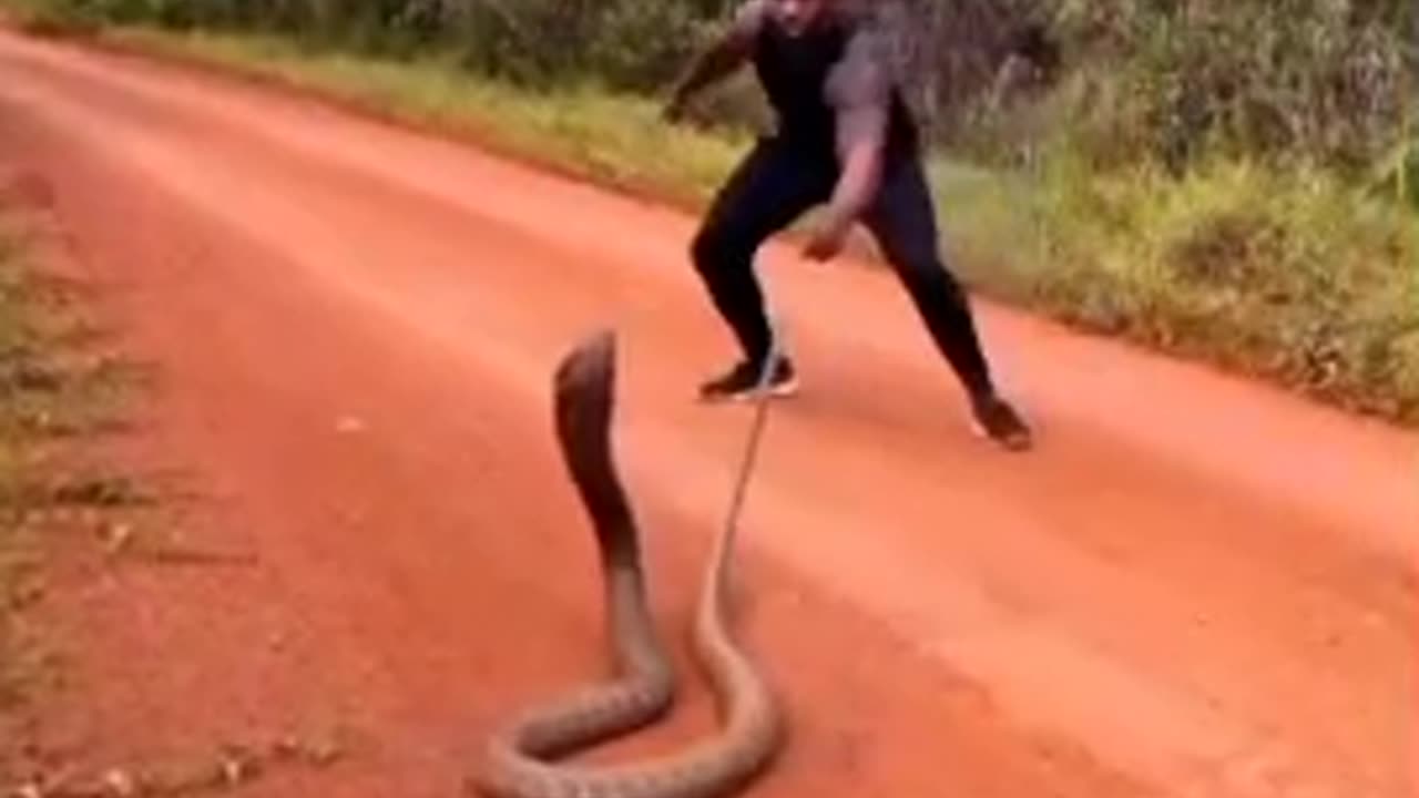 wonders of the world