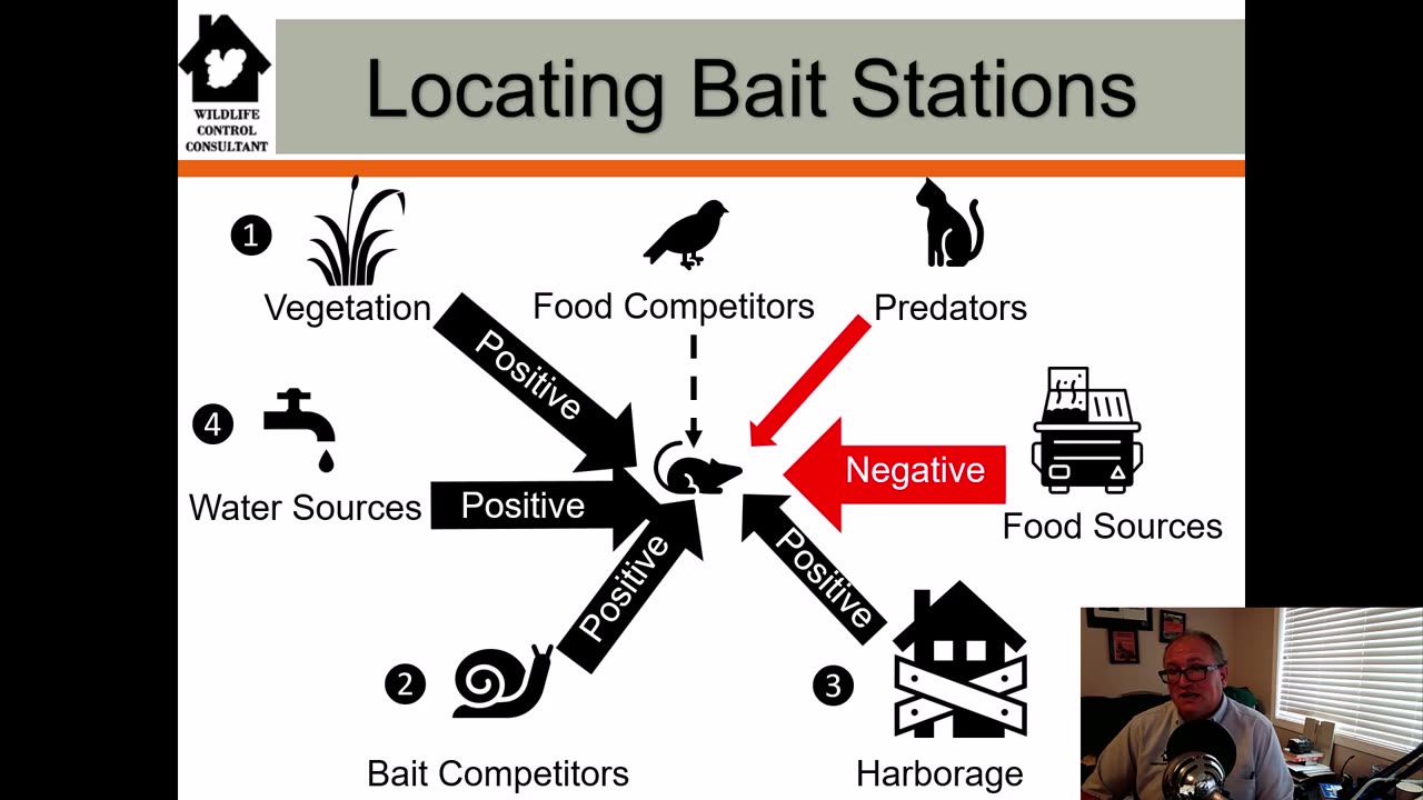 Where to place your commensal rodent bait stations for maximum control