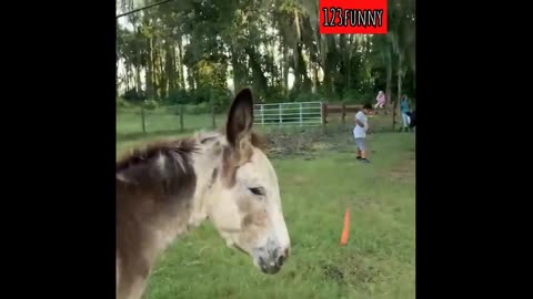 Laugh Out Loud Moments You Can’t Miss!