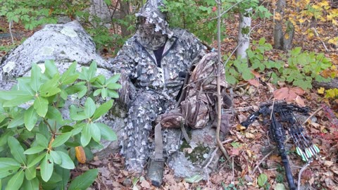 hunting the hyperlitigator