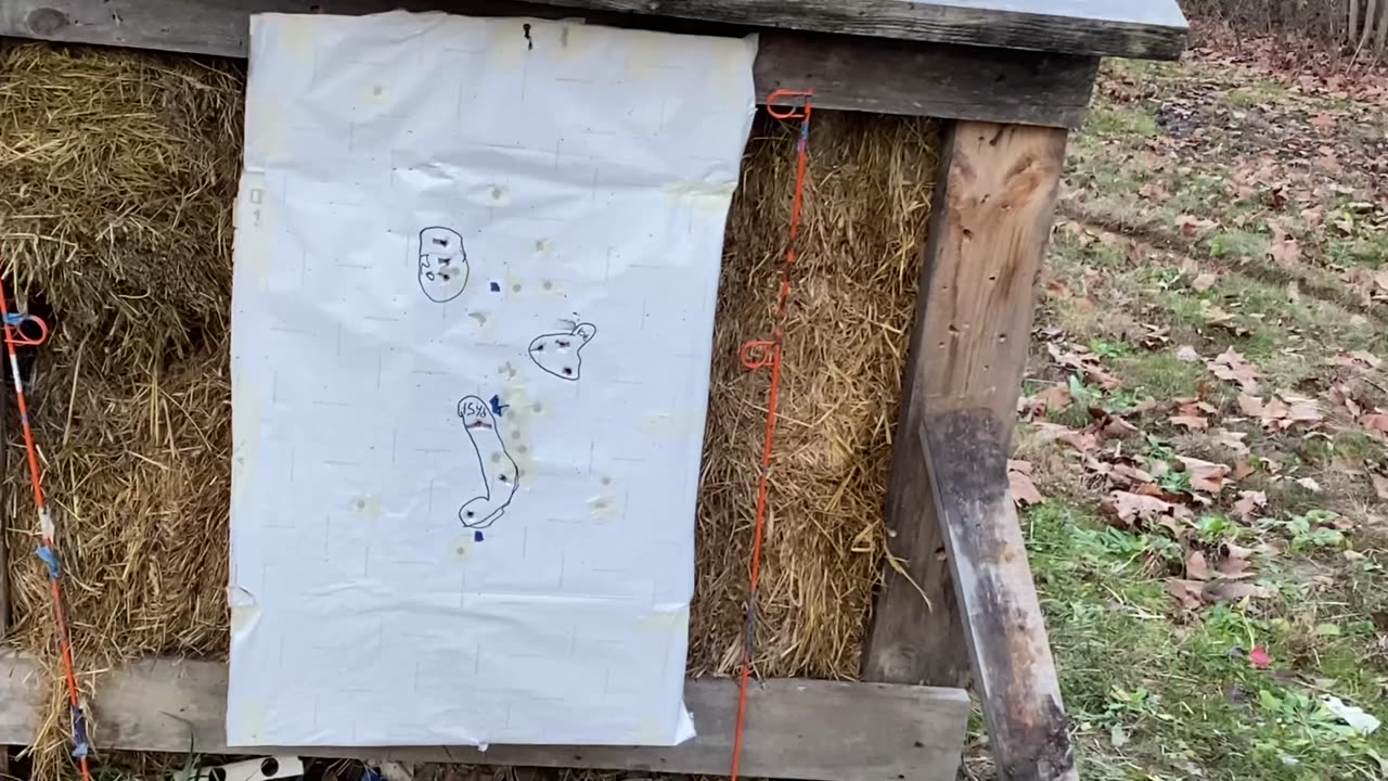 .410 3 Pellet .395 Cal 00000 Buckshot Range Test