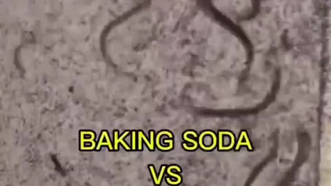 Baking Soda kills Parasites with Eden's LivingTV