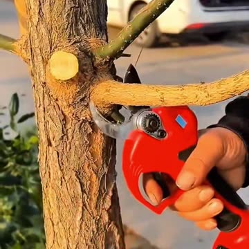 पैसा कमाओ