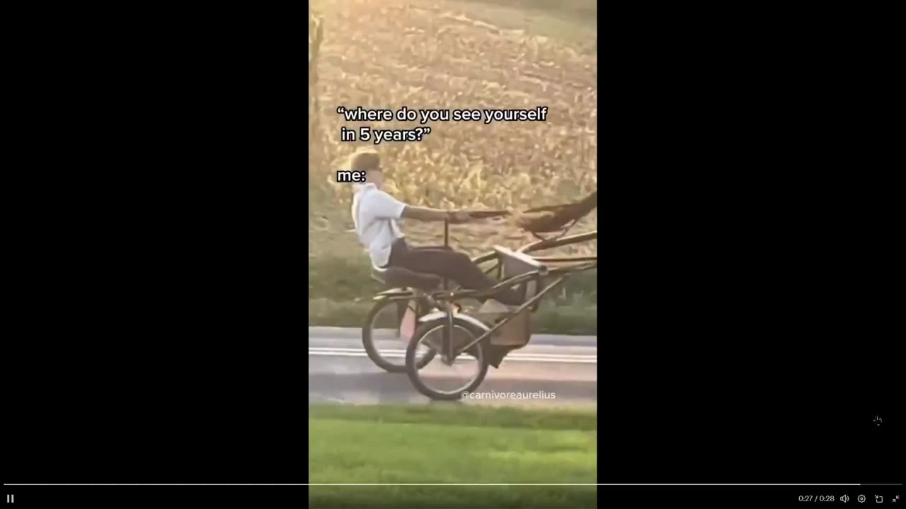 Doing the opposite of what the Gov't says...has served the Amish well.