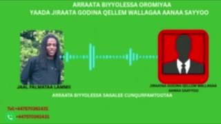 Qophii Addaa ONM-ABO Sadaasa 8-2025 itti dhiyaadhaa!